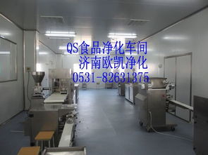 濟(jì)南歐凱凈化供應(yīng)云南qs食品車(chē)間 食品車(chē)間凈化工程