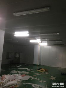 金山石化區(qū)食品廠專(zhuān)業(yè)凈化工程 彩鋼巖棉板隔斷、車(chē)間隔墻與工裝裝修一體化解決方案